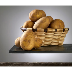 Patatas ecológicas del Pirineo 25kg